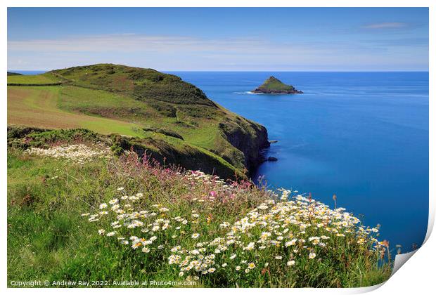 Spring flowers at The Rumps Print by Andrew Ray