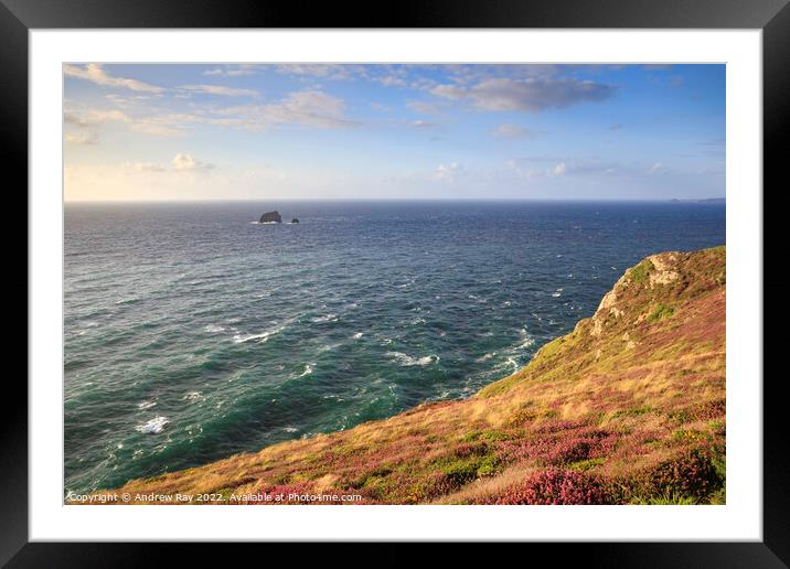 Summer evening at St Agnes Head  Framed Mounted Print by Andrew Ray