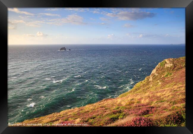 Summer evening at St Agnes Head  Framed Print by Andrew Ray