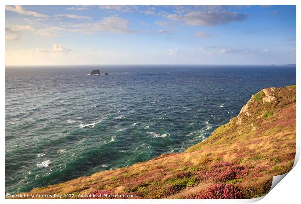 Summer evening at St Agnes Head  Print by Andrew Ray