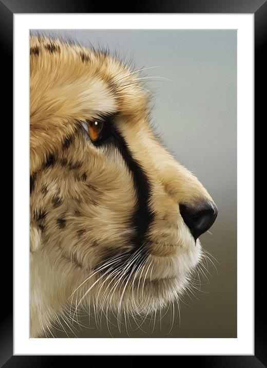 Cheetah Framed Mounted Print by Mike Gorton