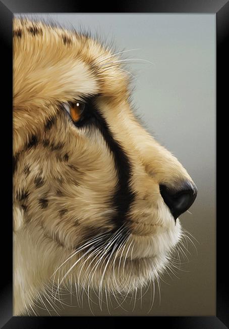 Cheetah Framed Print by Mike Gorton