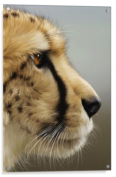 Cheetah Acrylic by Mike Gorton