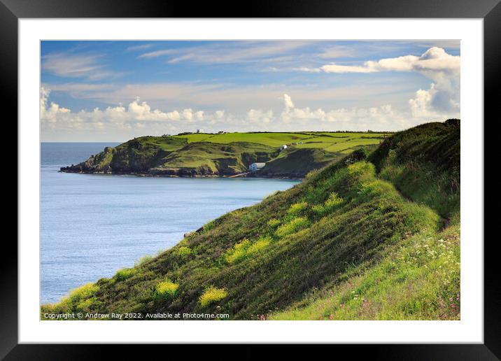 Towards Lizard Lifeboat Station Framed Mounted Print by Andrew Ray