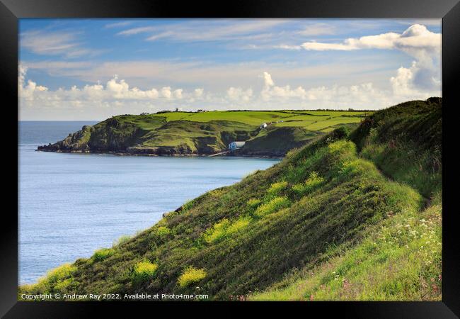 Towards Lizard Lifeboat Station Framed Print by Andrew Ray