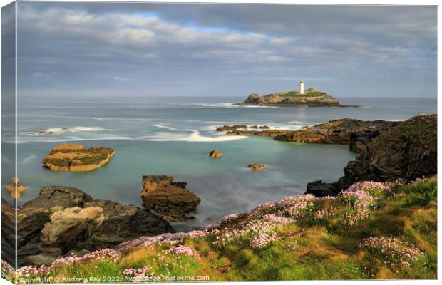 Spring morning at Godrevy  Canvas Print by Andrew Ray