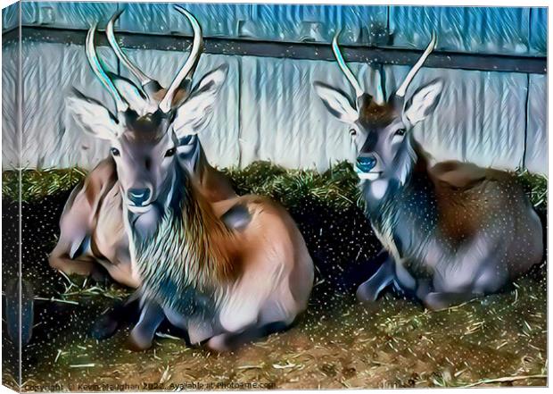 Deer's In A Barn (Digital Art)  Canvas Print by Kevin Maughan