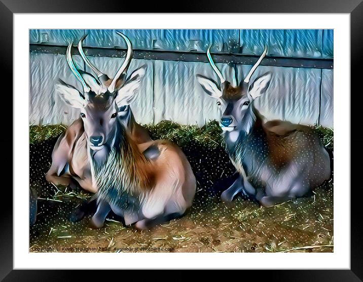 Deer's In A Barn (Digital Art)  Framed Mounted Print by Kevin Maughan