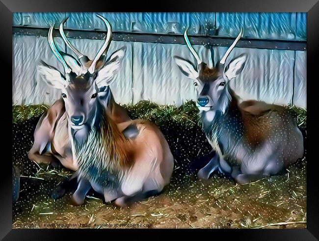 Deer's In A Barn (Digital Art)  Framed Print by Kevin Maughan