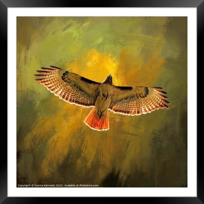 Into the Golden Light Framed Mounted Print by Donna Kennedy