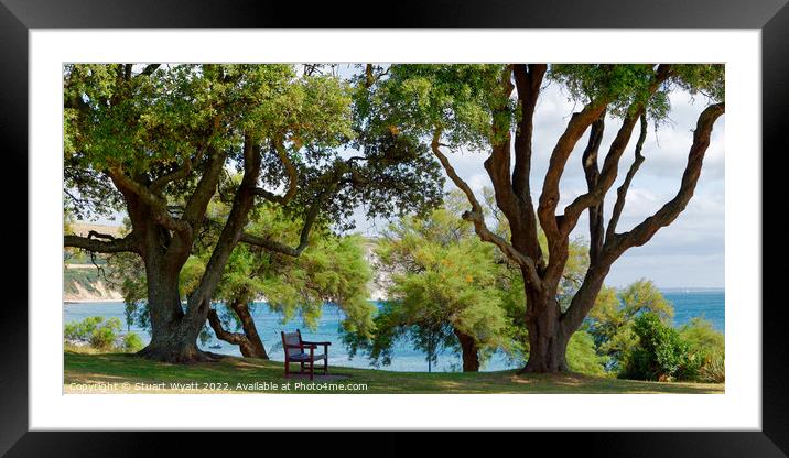 A seat in the shade Framed Mounted Print by Stuart Wyatt