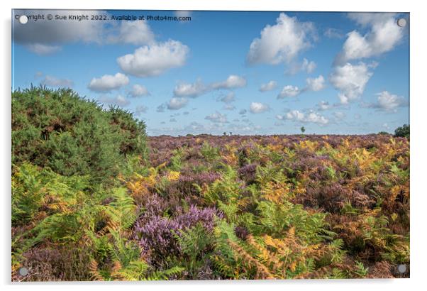 The glorious colours of the New Forest Acrylic by Sue Knight