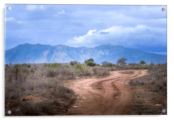 Chyulu Hills in Tsavo National Park, Kenya Acrylic by Sarah Paddison