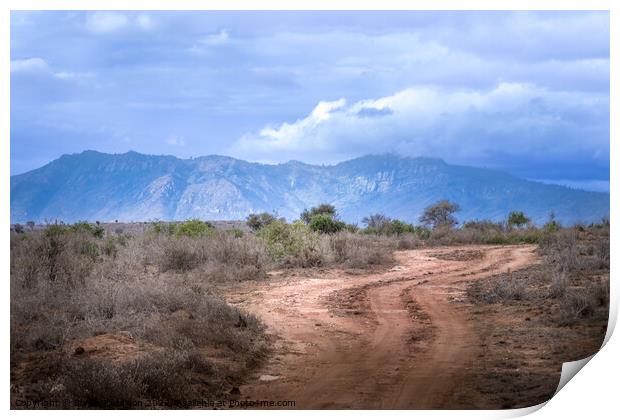 Chyulu Hills in Tsavo National Park, Kenya Print by Sarah Paddison