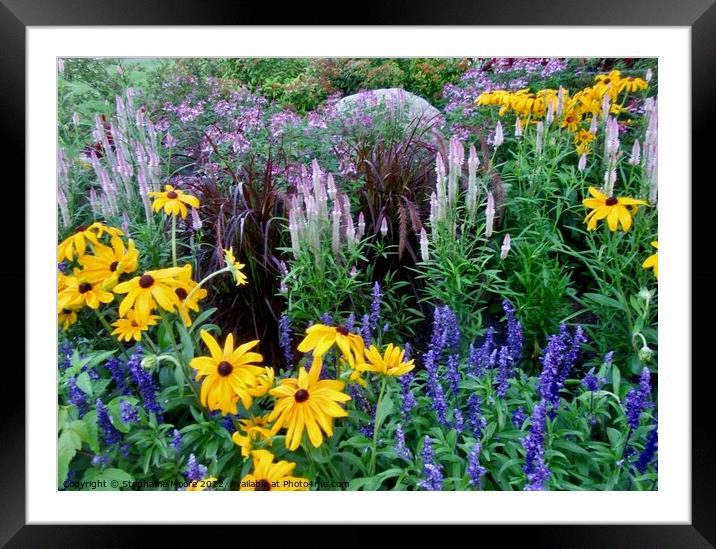 Plant Bee and Butterfly garden Framed Mounted Print by Stephanie Moore