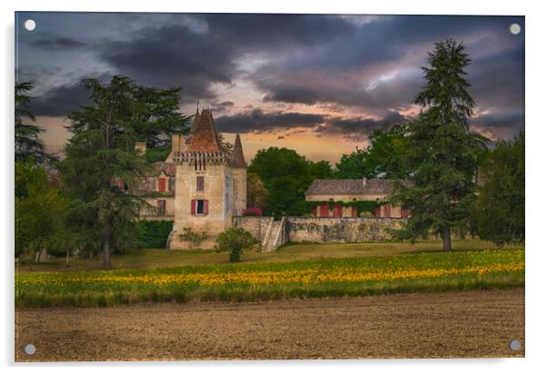 Manoir dit Chateau de Lafaurie Acrylic by Dave Williams