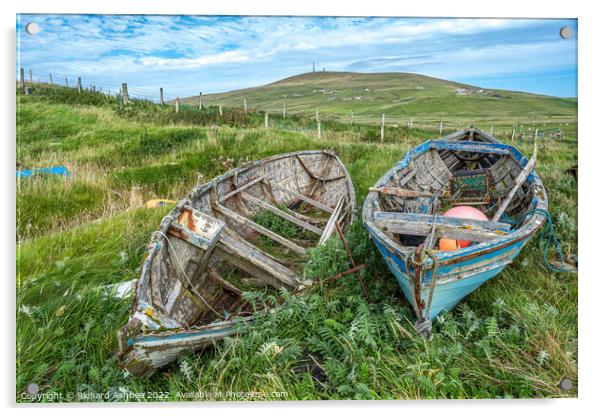 Old decaying Shetland fishing boats Acrylic by Richard Ashbee