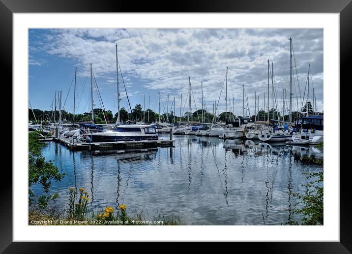 Chichester Harbour  Marina Framed Mounted Print by Diana Mower