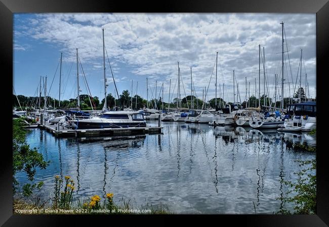 Chichester Harbour  Marina Framed Print by Diana Mower
