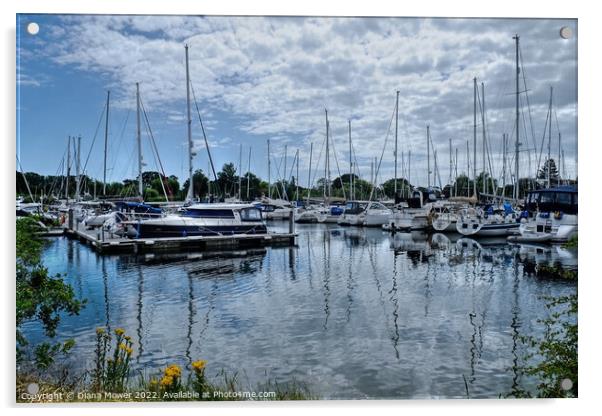 Chichester Harbour  Marina Acrylic by Diana Mower