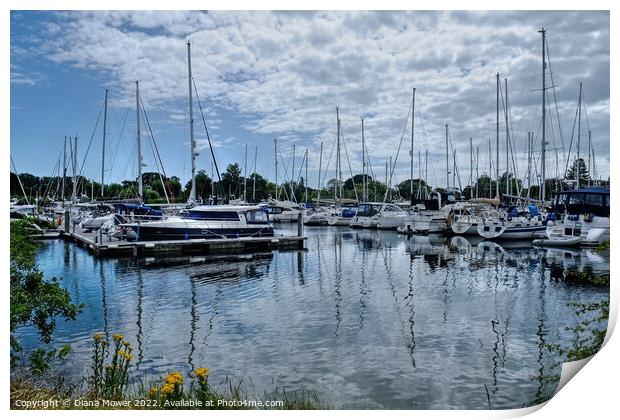 Chichester Harbour  Marina Print by Diana Mower
