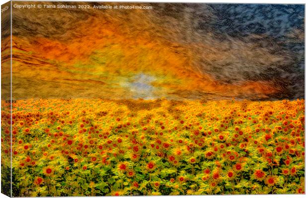 Fiery Sunrise over Sunflower Field  Canvas Print by Taina Sohlman
