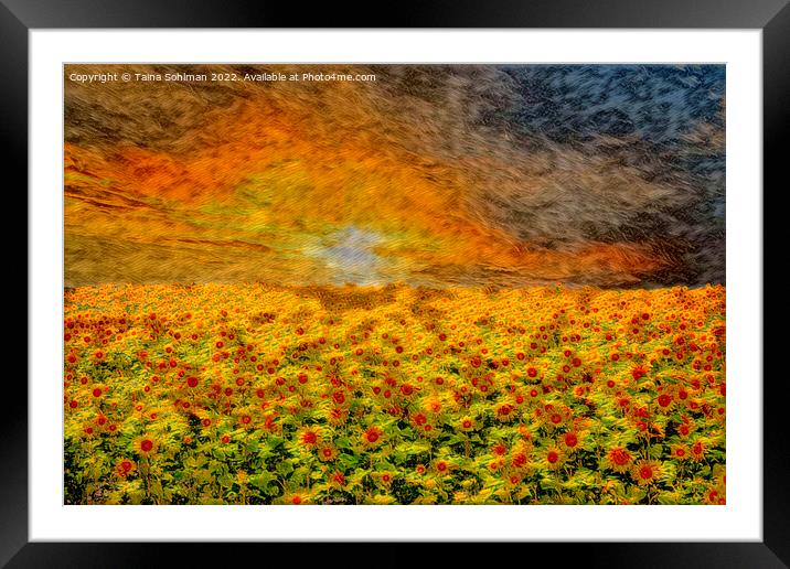 Fiery Sunrise over Sunflower Field  Framed Mounted Print by Taina Sohlman