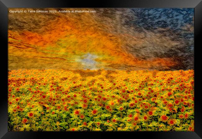 Fiery Sunrise over Sunflower Field  Framed Print by Taina Sohlman