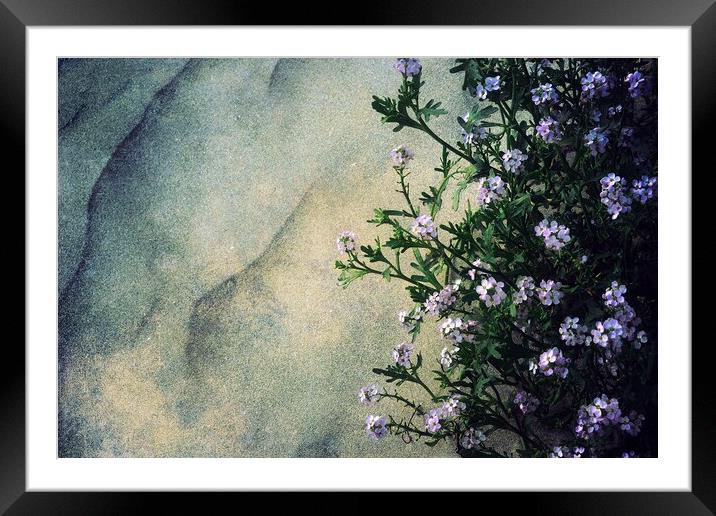 Flowers On Windswept Sand Framed Mounted Print by Anne Macdonald