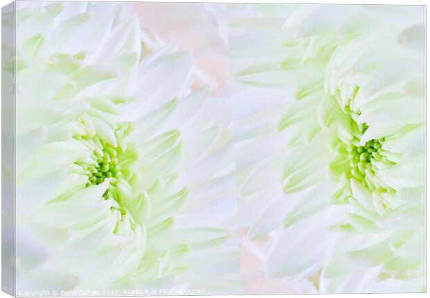 Delicate Romance in the Green Canvas Print by Beryl Curran