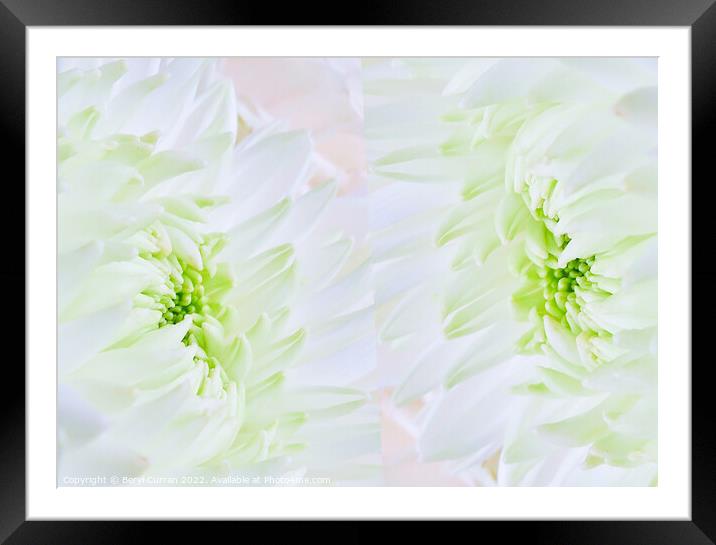 Delicate Romance in the Green Framed Mounted Print by Beryl Curran