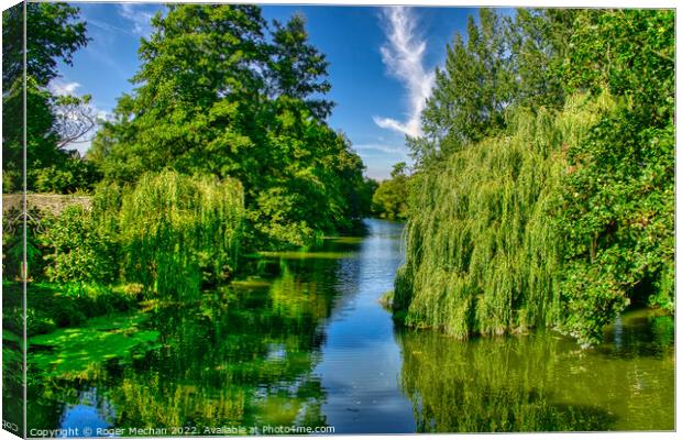 Serenity of the Weeping Willow Canvas Print by Roger Mechan