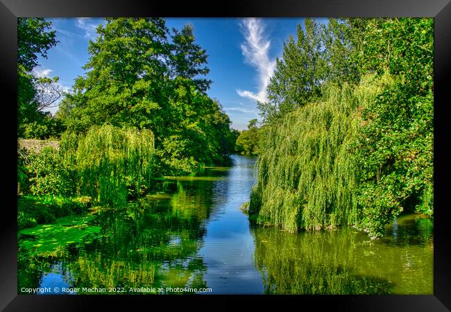 Serenity of the Weeping Willow Framed Print by Roger Mechan