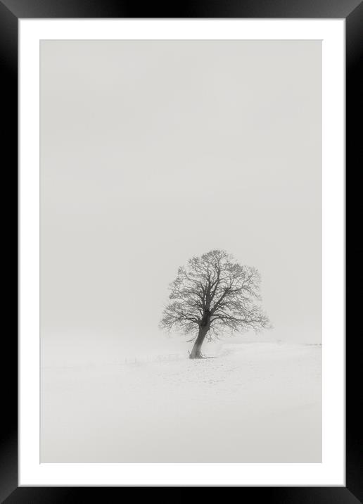 Abstract Minimalistic Tree  Framed Mounted Print by Duncan Loraine
