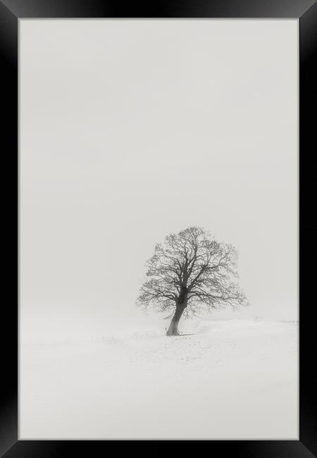 Abstract Minimalistic Tree  Framed Print by Duncan Loraine