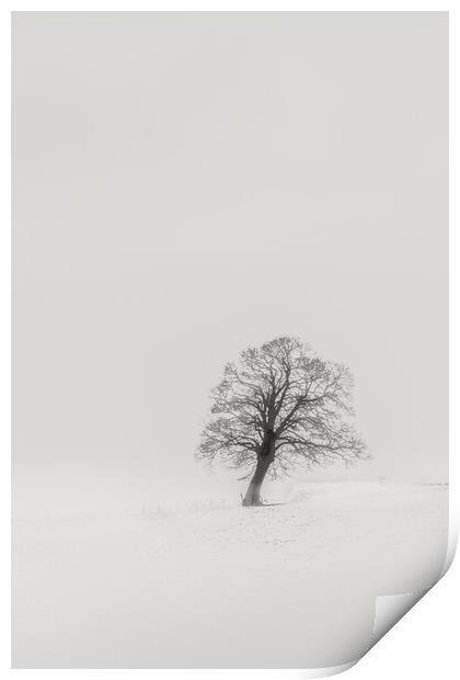 Abstract Minimalistic Tree  Print by Duncan Loraine