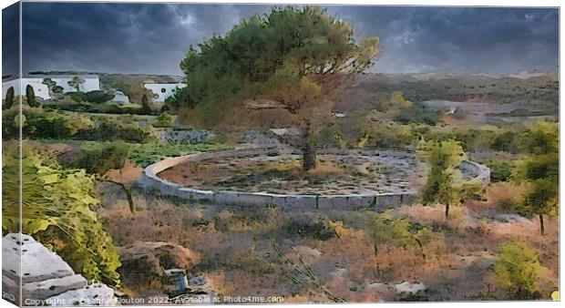  Threshing Circle Tree in Menorca Canvas Print by Deanne Flouton