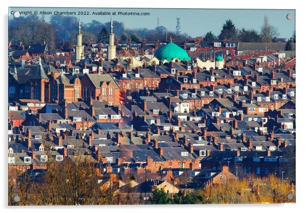 Leeds Harehills Mosque  Acrylic by Alison Chambers
