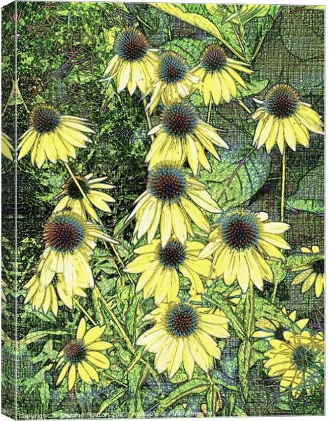 Surreal Golden Coneflowers Canvas Print by Deanne Flouton