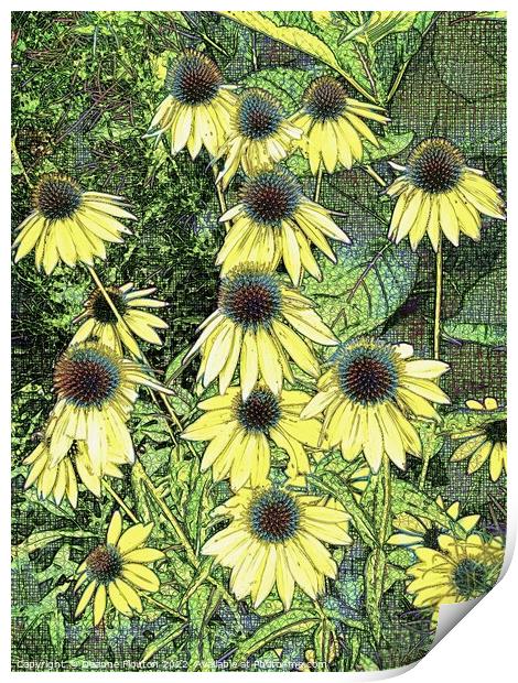 Surreal Golden Coneflowers Print by Deanne Flouton