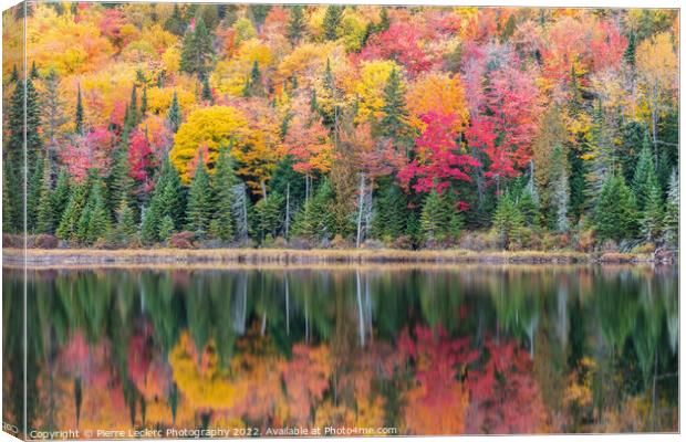 Fall Colors in Canada Canvas Print by Pierre Leclerc Photography