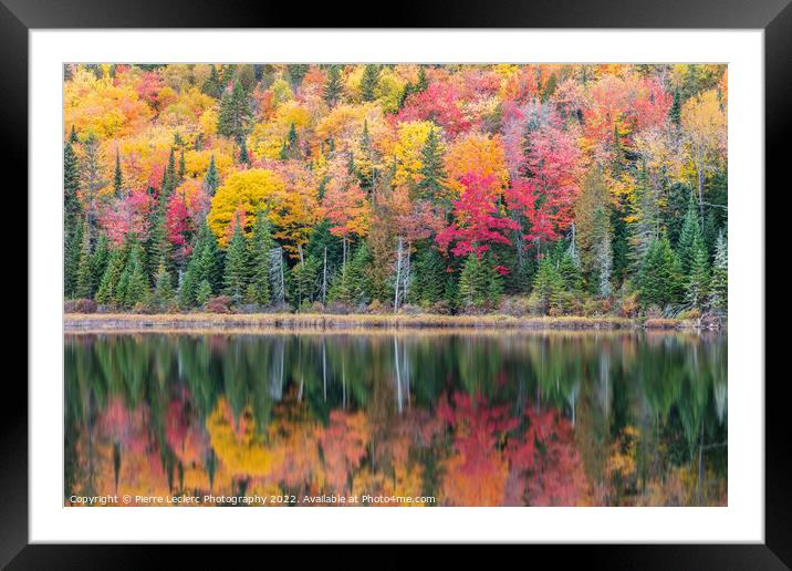 Fall Colors in Canada Framed Mounted Print by Pierre Leclerc Photography