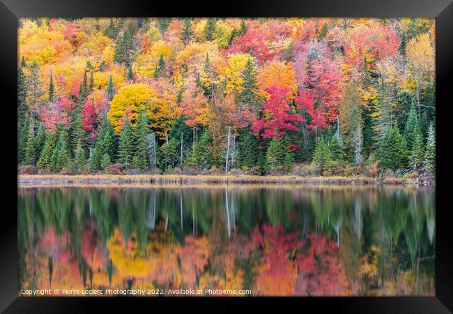 Fall Colors in Canada Framed Print by Pierre Leclerc Photography