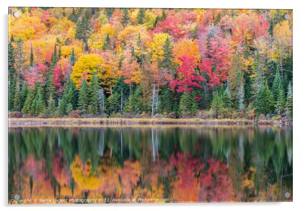 Fall Colors in Canada Acrylic by Pierre Leclerc Photography