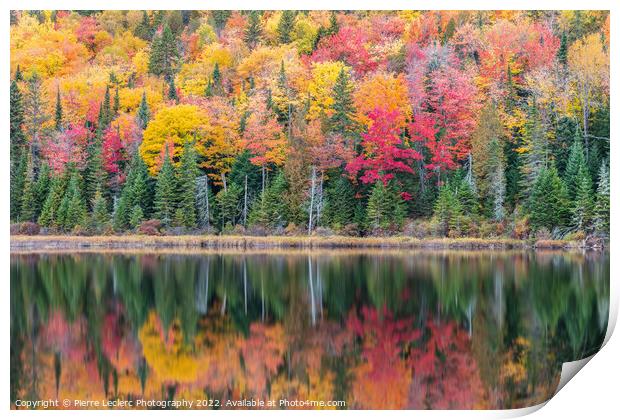 Fall Colors in Canada Print by Pierre Leclerc Photography