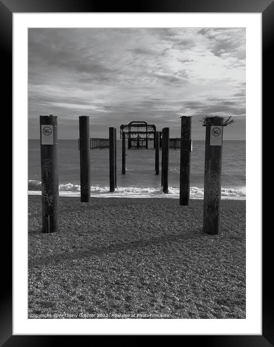 Brighton in black and white Framed Mounted Print by Anthony Goehler