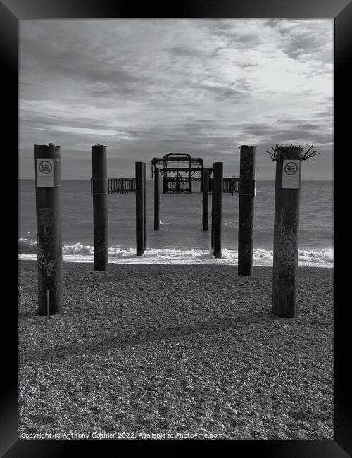 Brighton in black and white Framed Print by Anthony Goehler