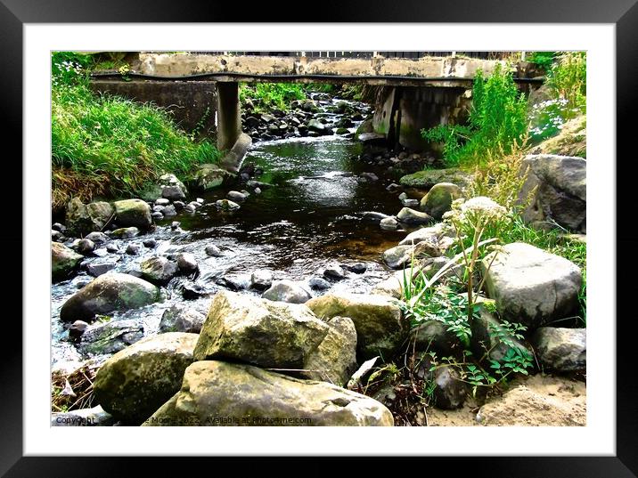 Stream at Downhill, Derry Framed Mounted Print by Stephanie Moore
