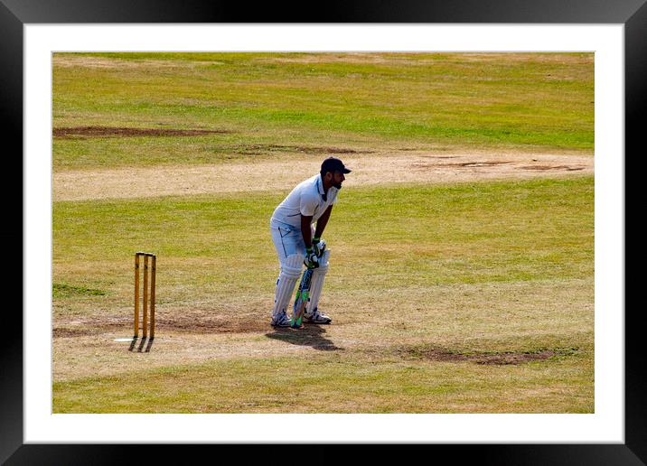 I Don't Like Cricket, eh, oh no, I Love It! Framed Mounted Print by Glen Allen