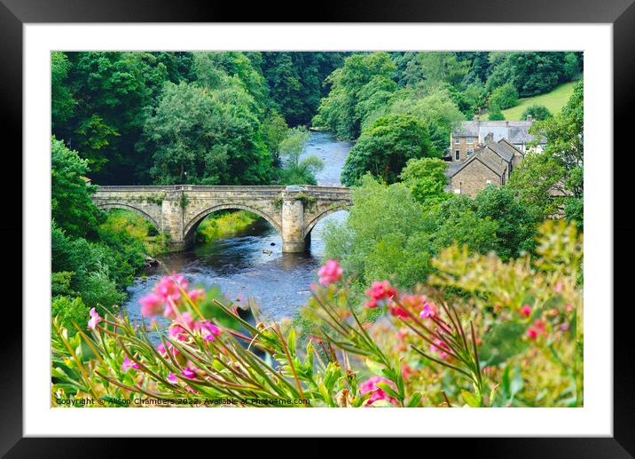 The Green Bridge Richmond  Framed Mounted Print by Alison Chambers